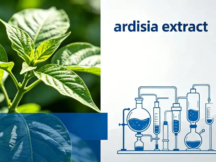 What is Ardisia Crispa Used For?
